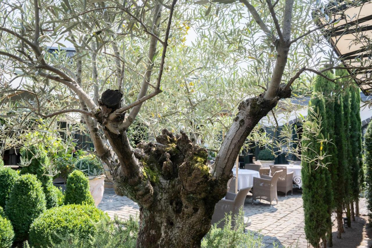 Wein Und Landhaus Kallfels Kröv المظهر الخارجي الصورة
