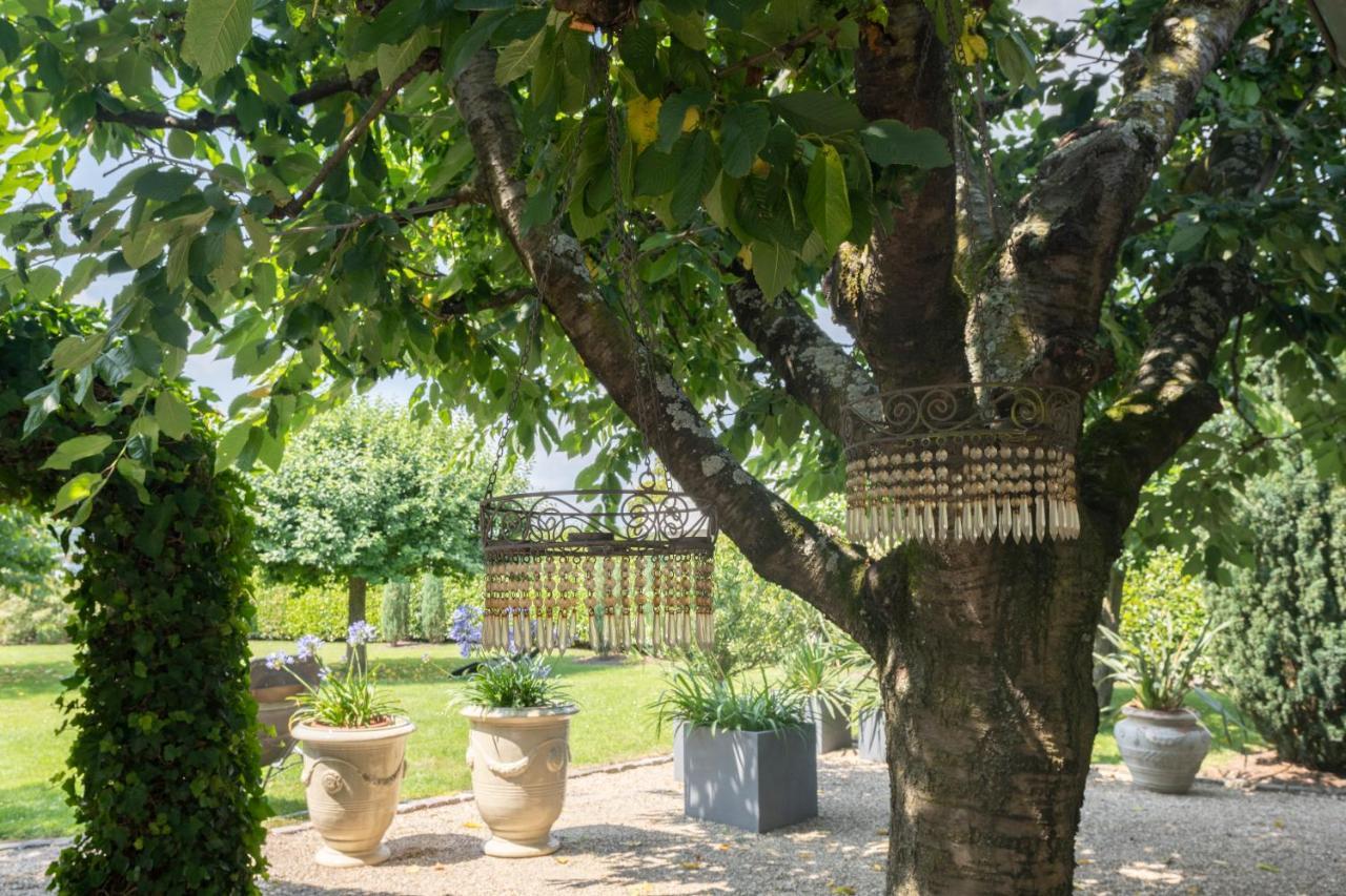 Wein Und Landhaus Kallfels Kröv المظهر الخارجي الصورة