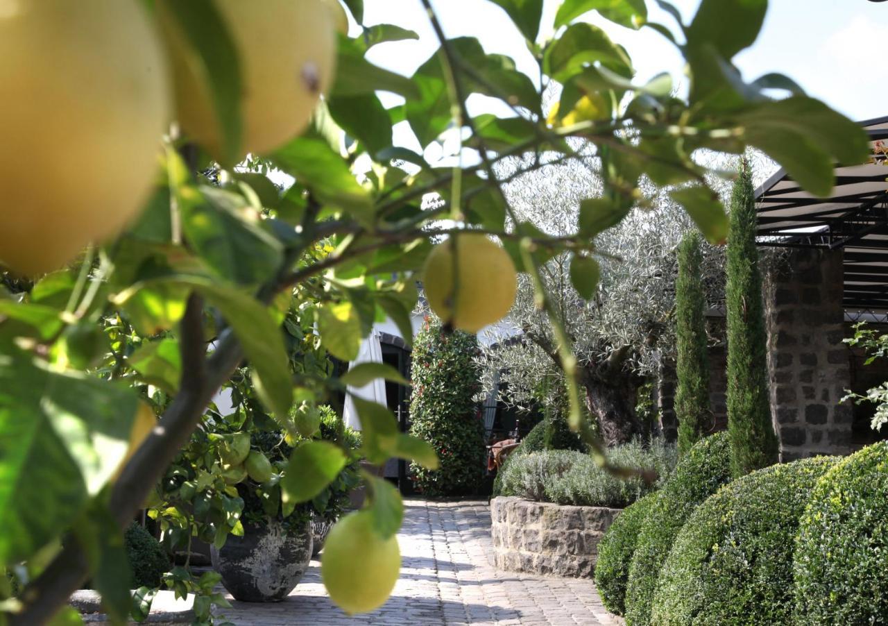 Wein Und Landhaus Kallfels Kröv المظهر الخارجي الصورة